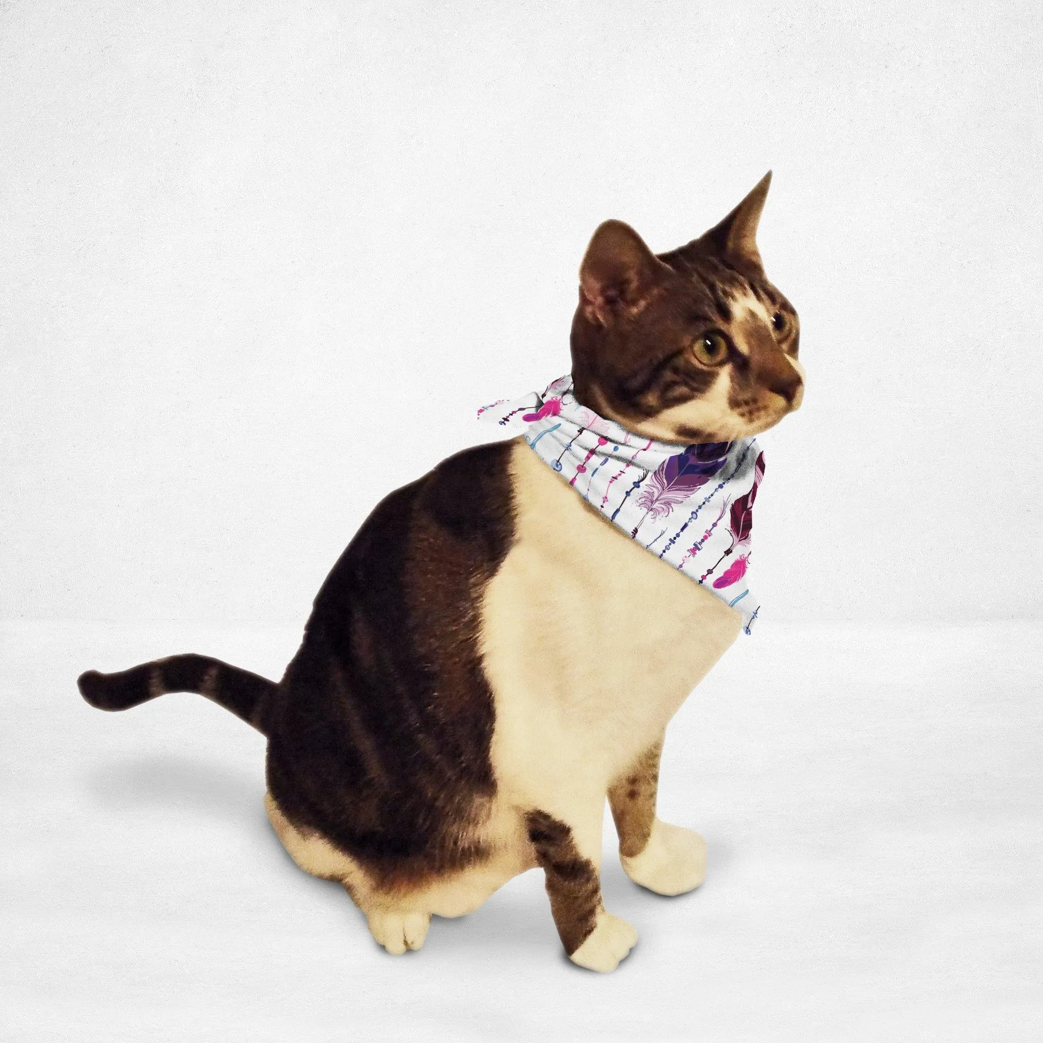 Colorful Native Feathers Cat & Dog Bandana