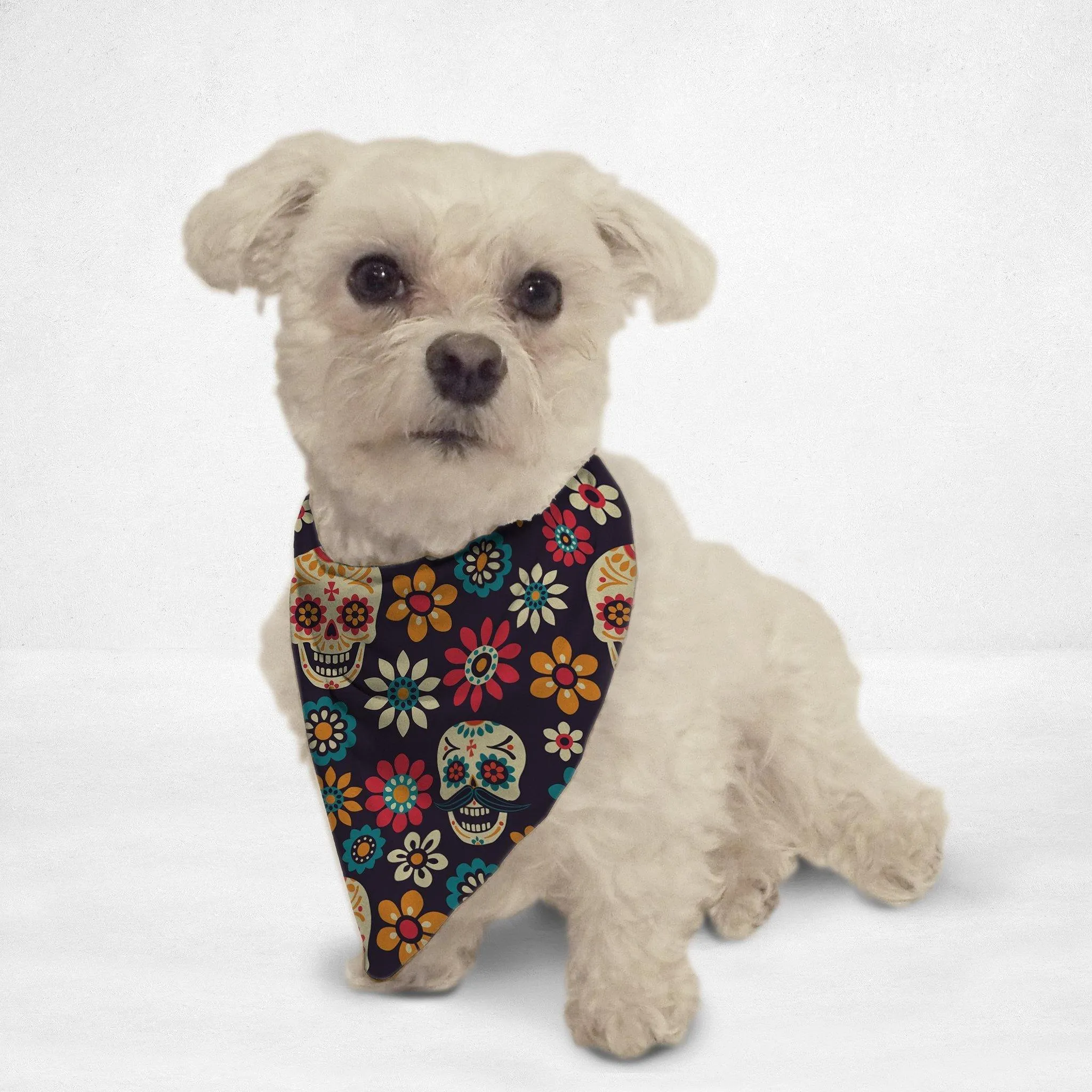 Colorful Sugar Skull Cat & Dog Bandana