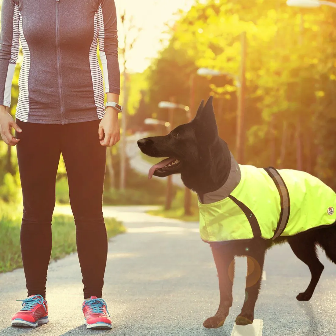 Derby Originals Light Up LED Waterproof Safety Yellow Dog Jacket with Reflective Trim, Belt, & Harness Compatible Opening