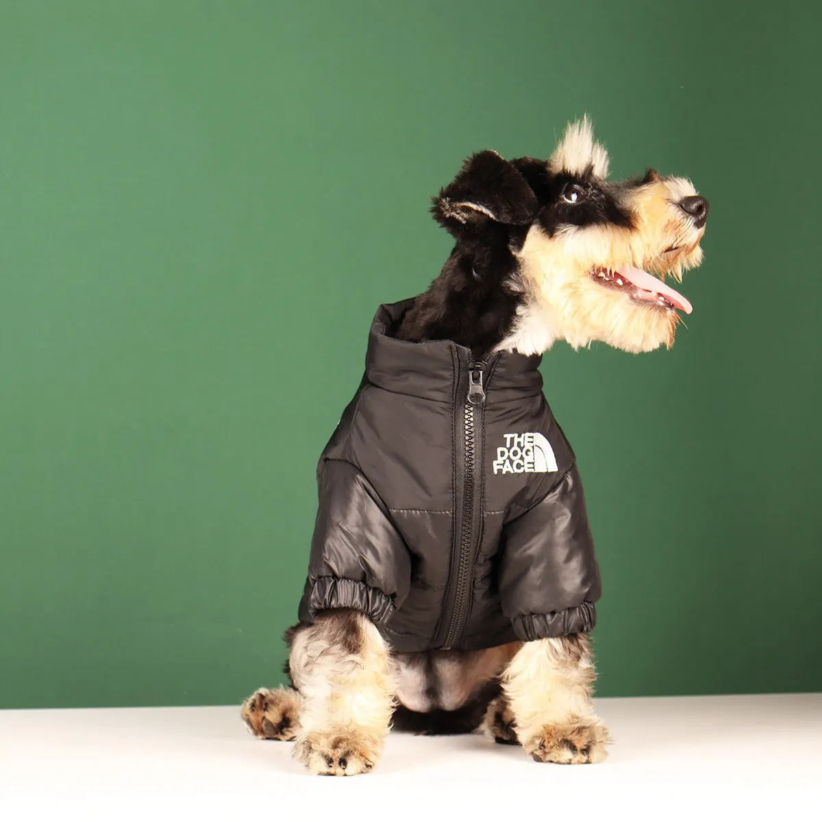 DOG FACE Puffer Coat