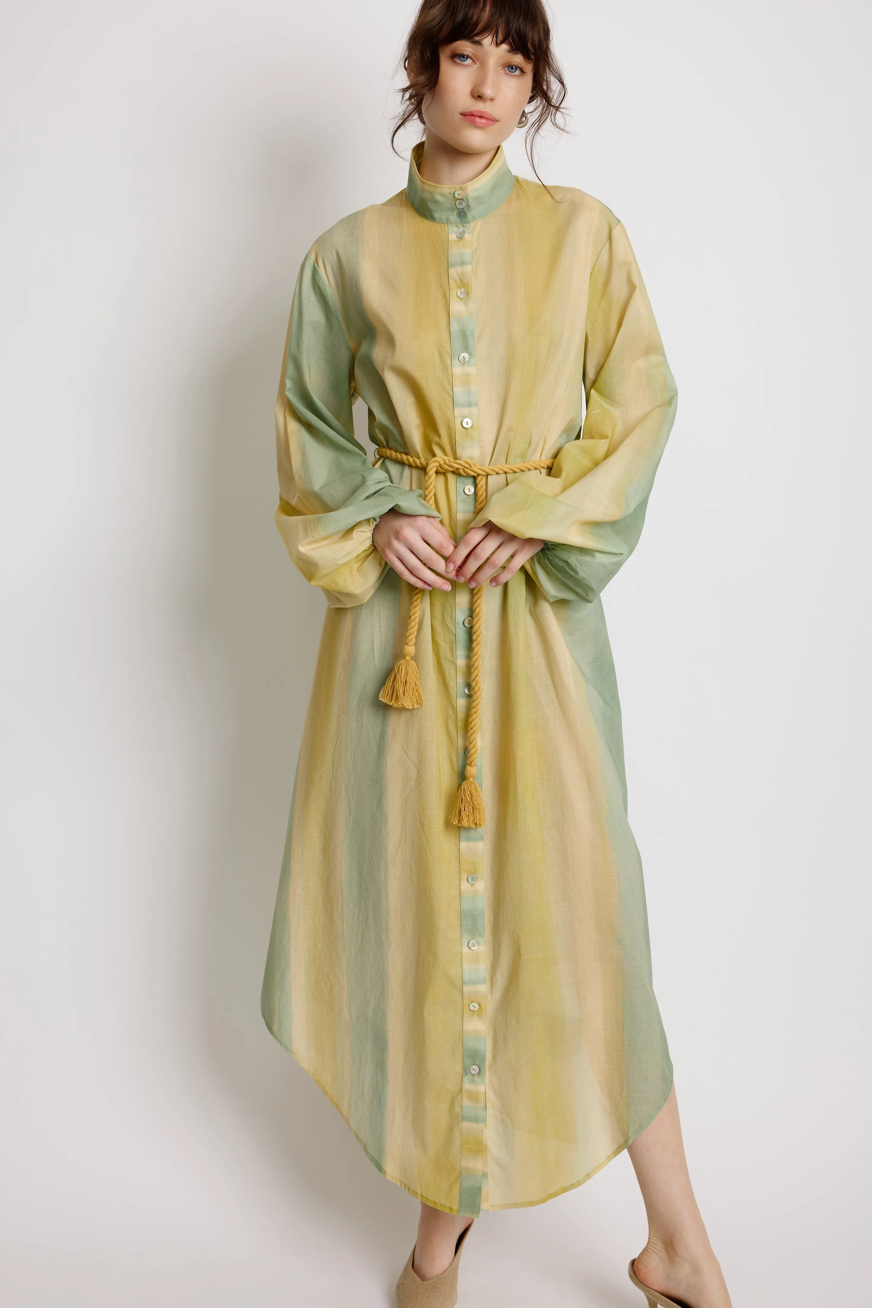 Foliage Shirt Dress - Leaf Green Stripe