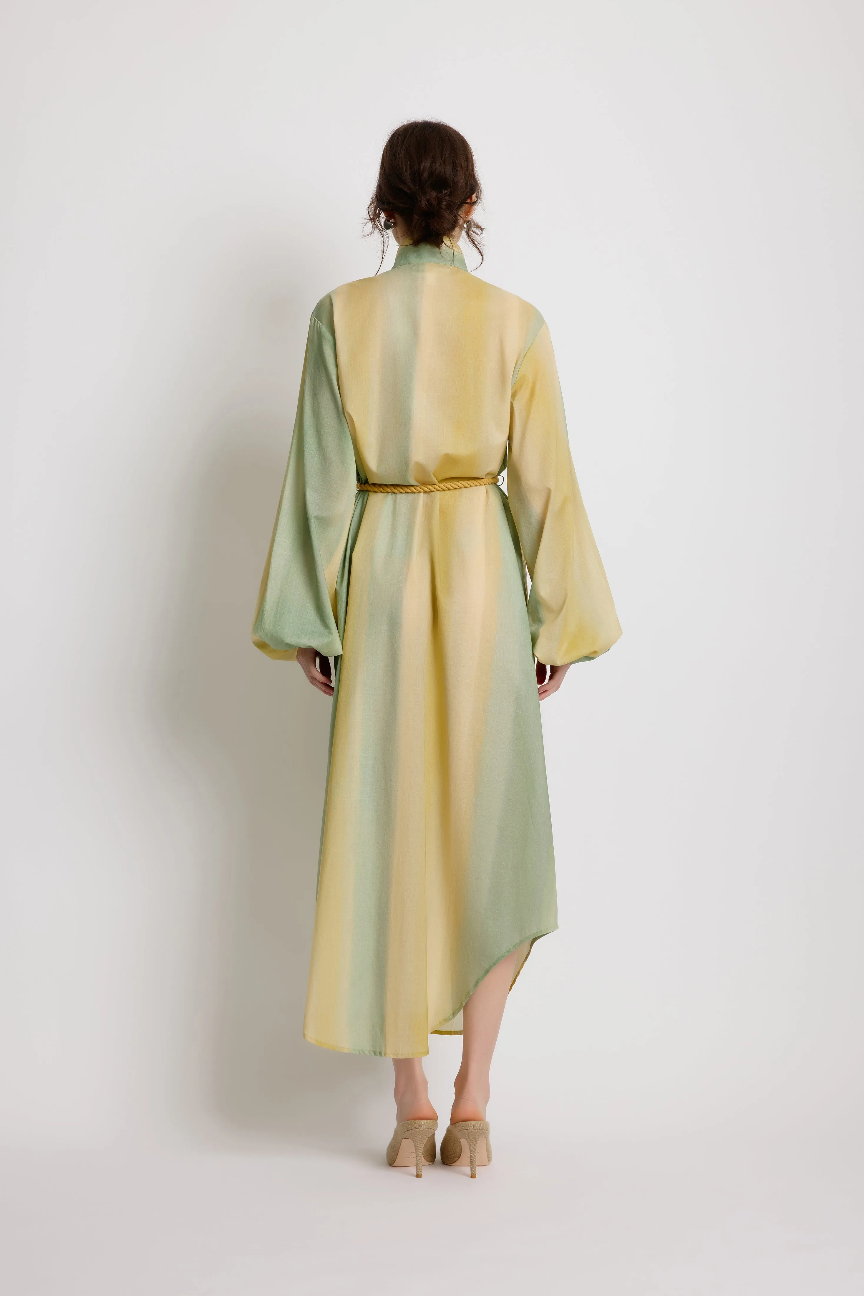 Foliage Shirt Dress - Leaf Green Stripe