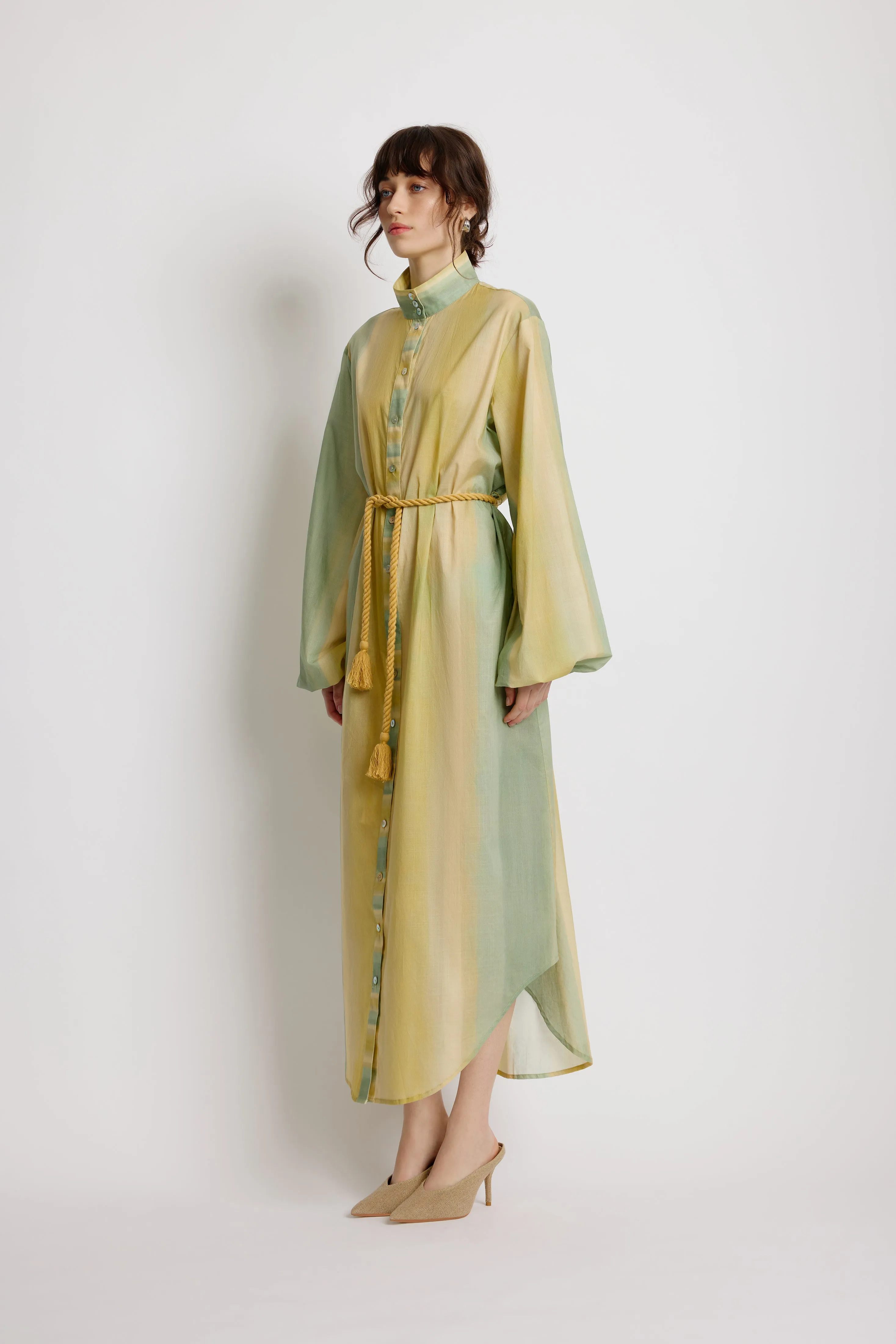 Foliage Shirt Dress - Leaf Green Stripe