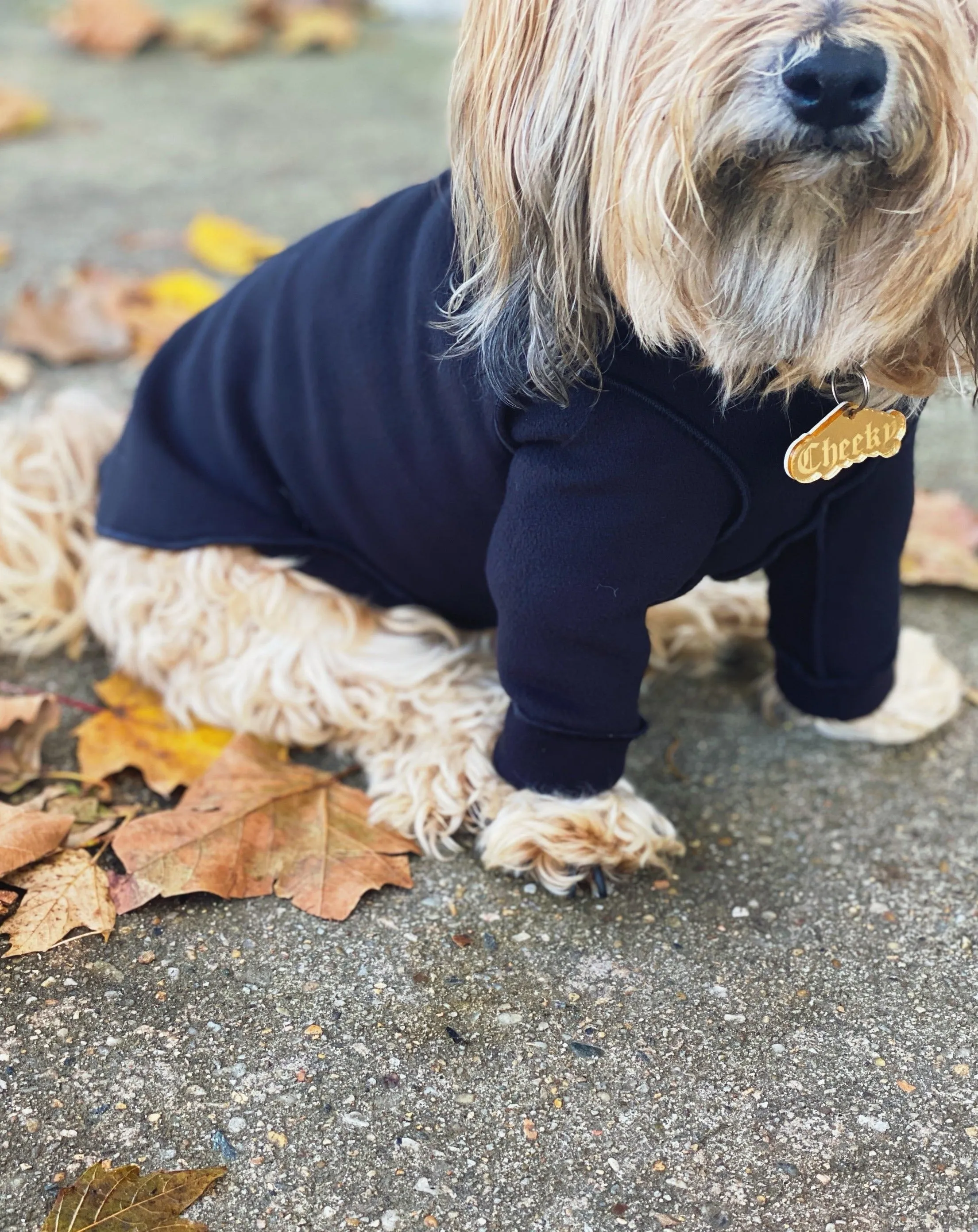 Long-Sleeve Pullover Stretch Dog Fleece in Black (Made in the USA, Dog & Co. Exclusive!)