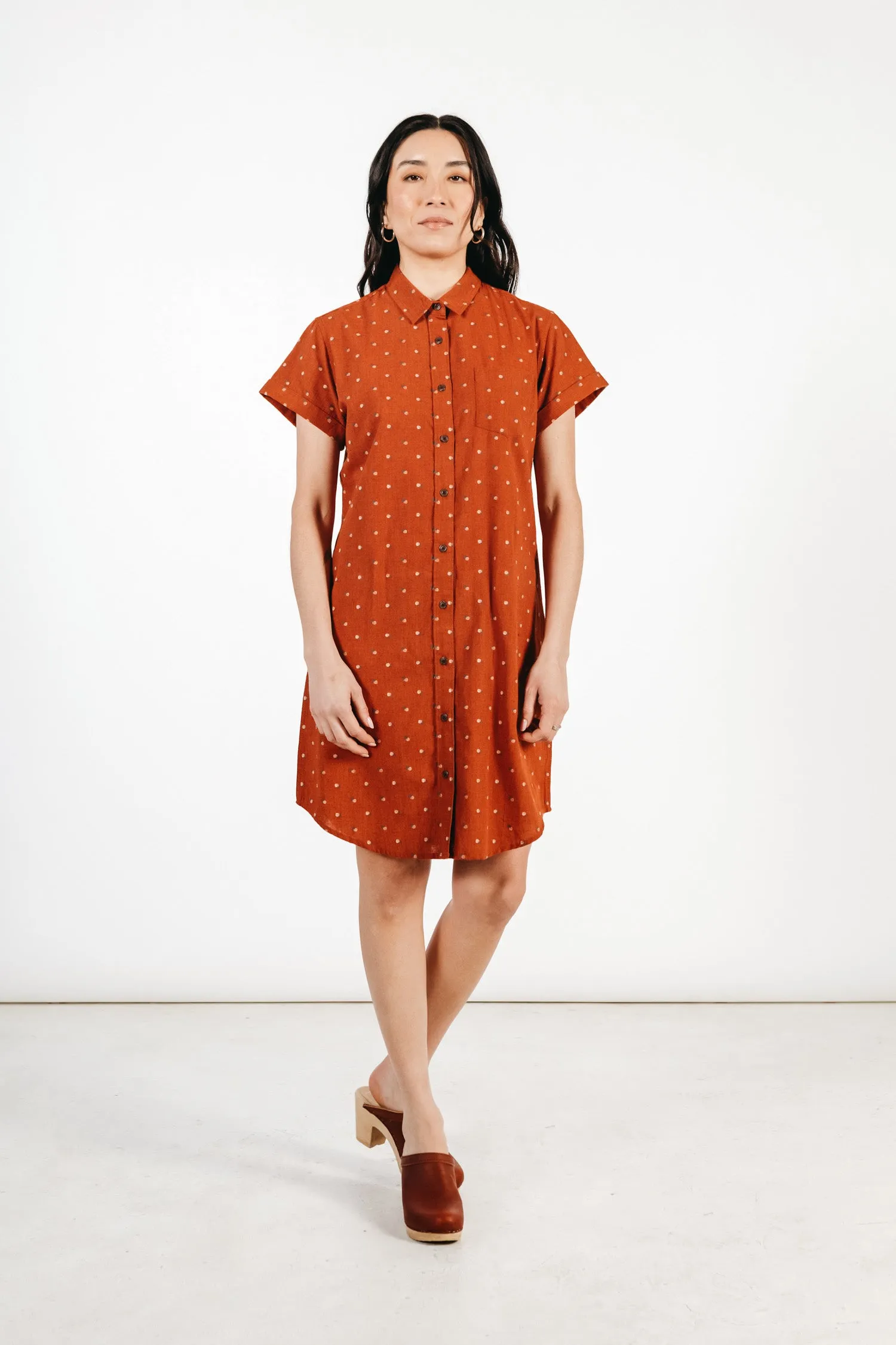 Loren Shirt Dress / Fil-Coupé Dots