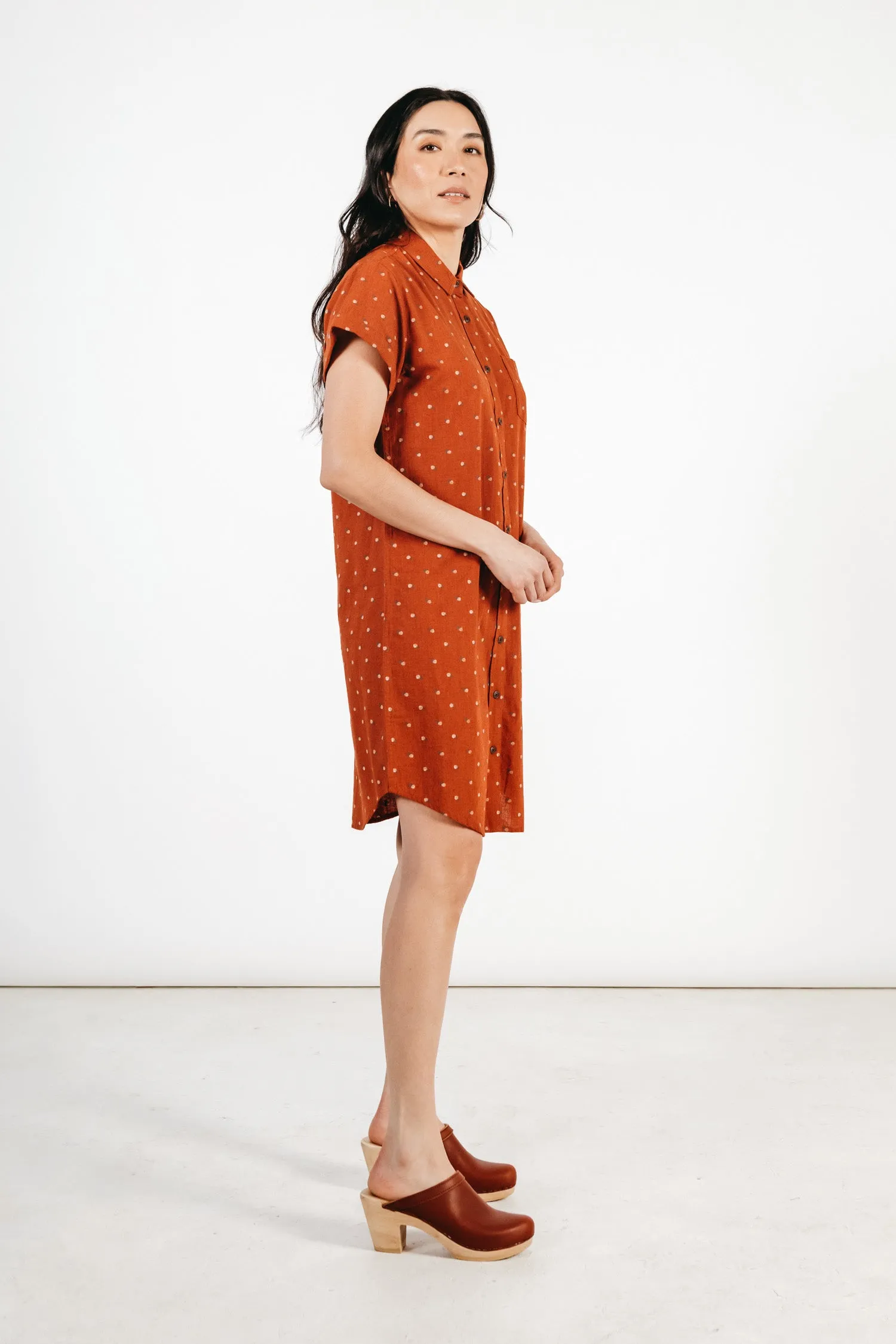 Loren Shirt Dress / Fil-Coupé Dots