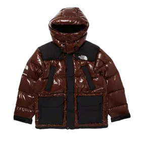 Supreme The North Face 700-Fill Down Parka Brown