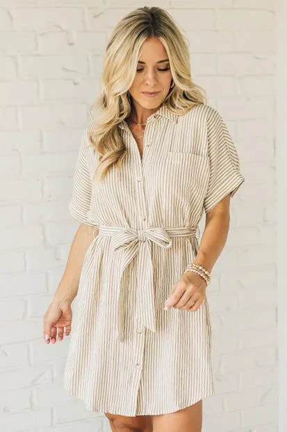 Theo Striped Shirt Dress